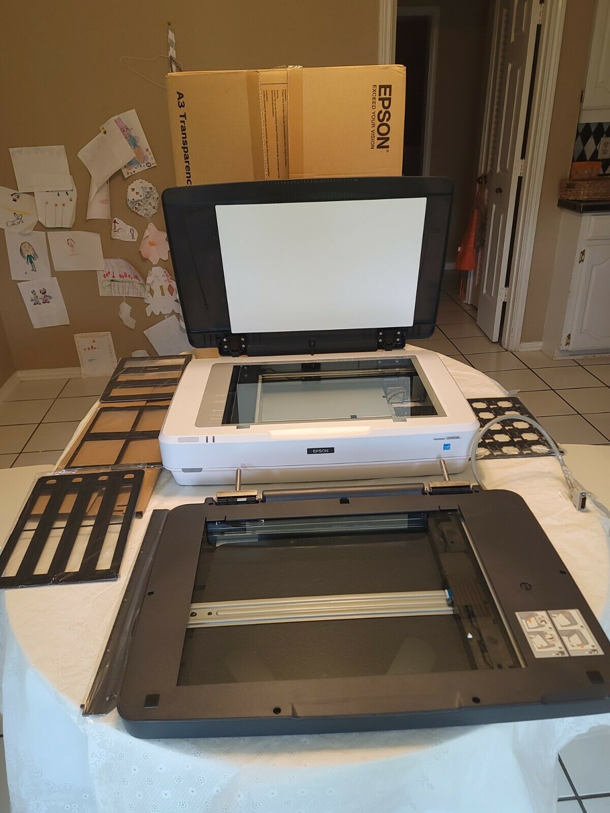 Epson Expression 12000xl Scanner And Epson A3 Transparency Unit. Boxed